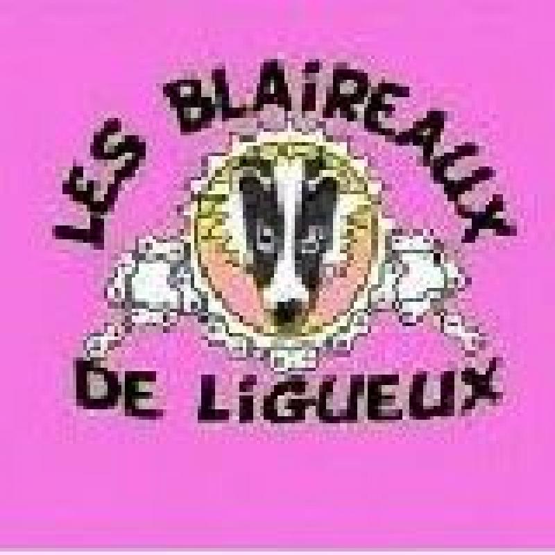 Les Blaireaux de Ligueux