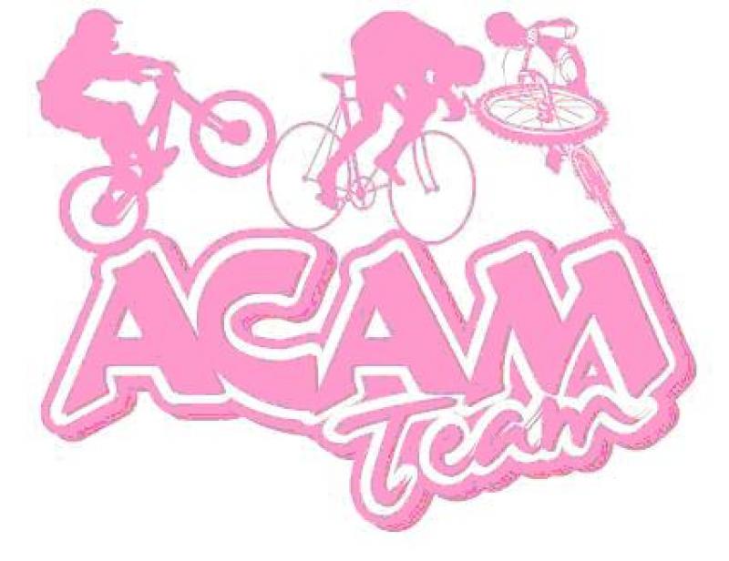 ACAM team