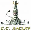 courses du club Club Cycliste de SACLAY